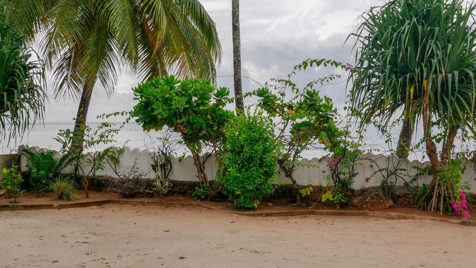 Villa Noah Beach Zanzibar Kiwengwa  Exterior foto