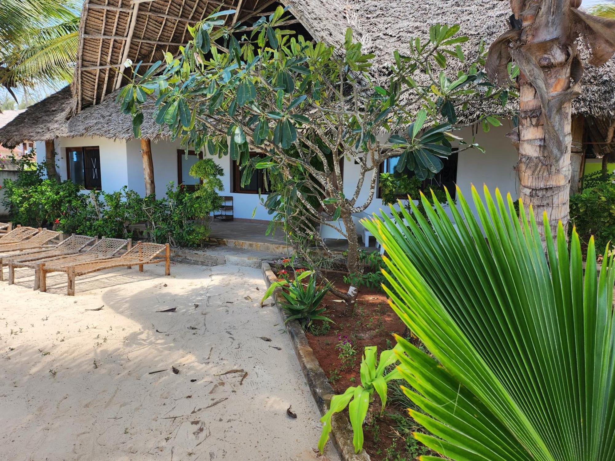 Villa Noah Beach Zanzibar Kiwengwa  Exterior foto