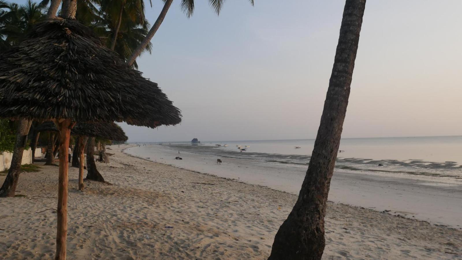 Villa Noah Beach Zanzibar Kiwengwa  Exterior foto