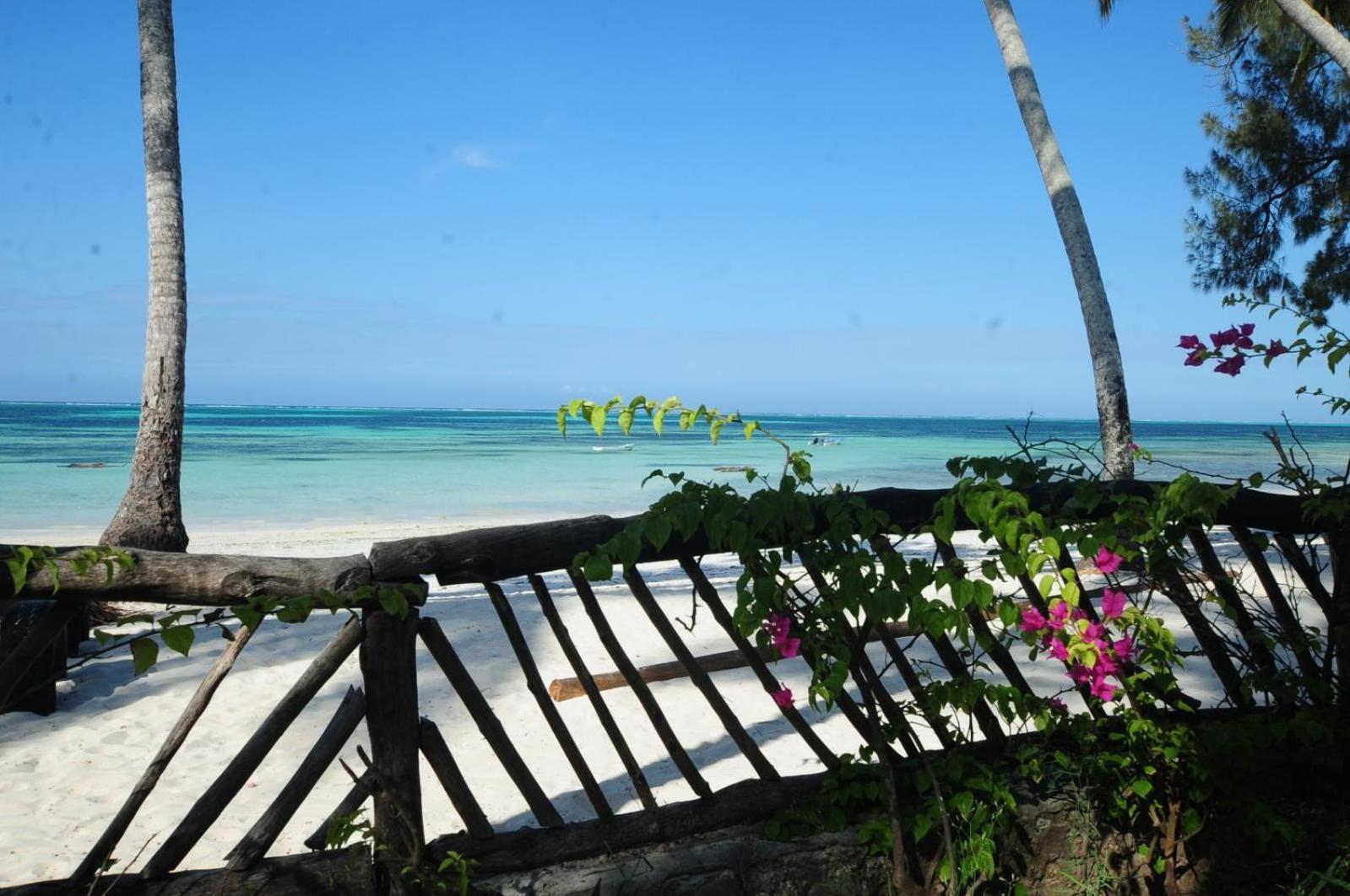 Villa Noah Beach Zanzibar Kiwengwa  Exterior foto